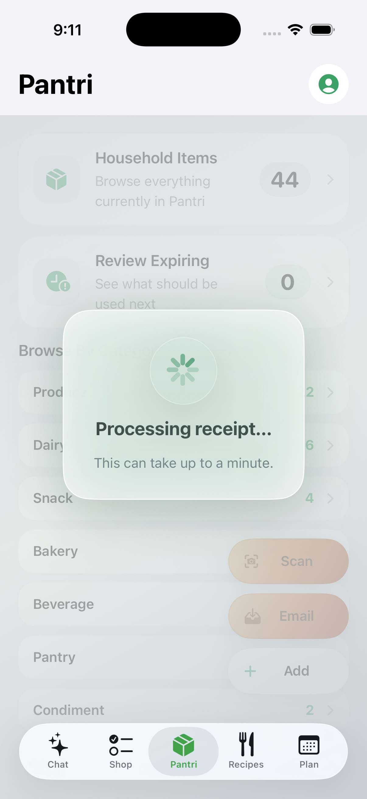 Pantri receipt processing preview